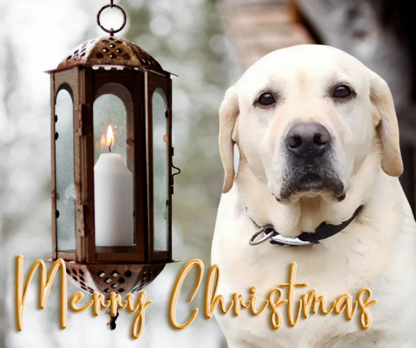 Calendar & Deluxe Christmas Cards Bundle 5