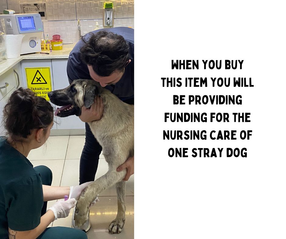 Bree Merryn, Fine Art Donkey Small Card To Post