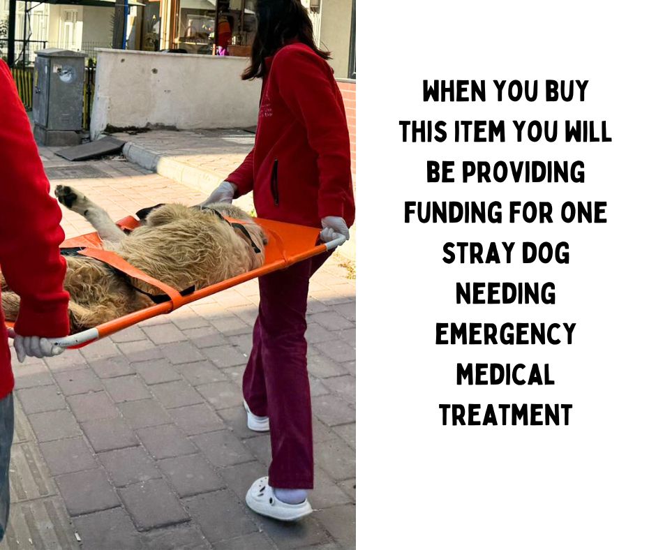 Crinkle Stocking 4-Piece Gift Set