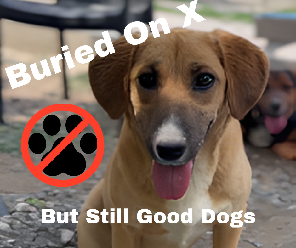 Buried on X But Still Good Dogs