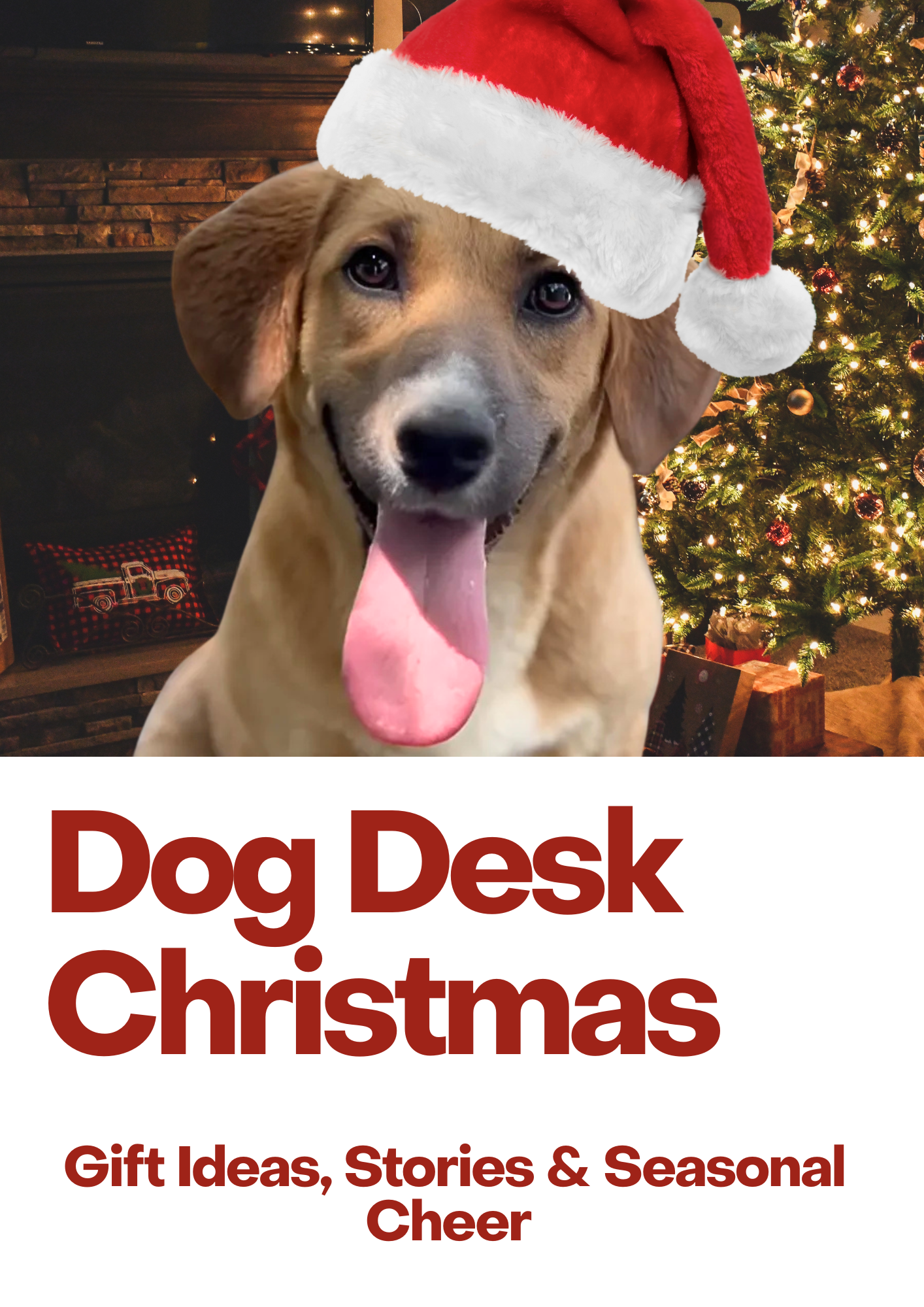 Dog Desk Animal Action Christmas Magazine