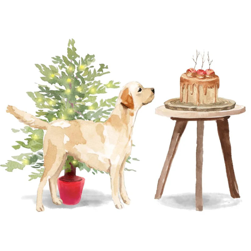 Calendar & Deluxe Christmas Cards Bundle 4
