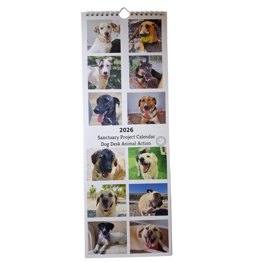 Dog Desk Animal Action Calendar 2026