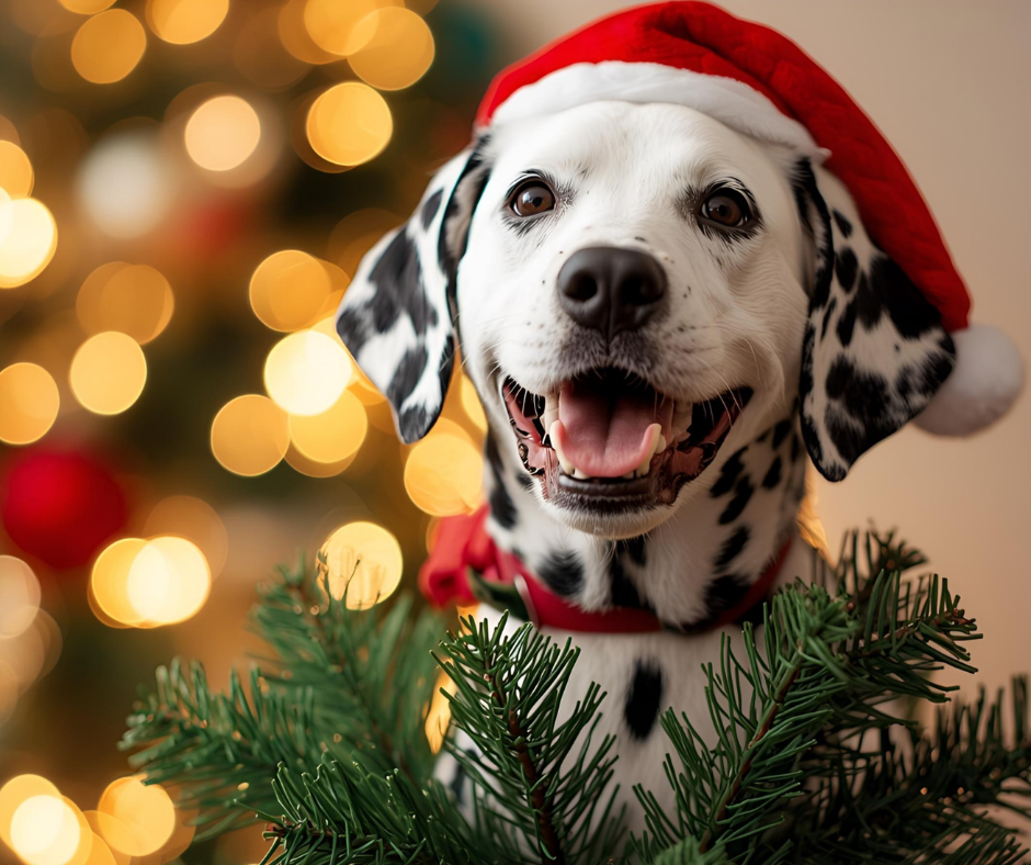 When a Christmas Gift Gives Twice: Gifts That Give Back