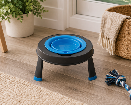 Dexas Single Elevated Feeder Pro Blue