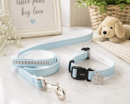 Ancol Puppy Collar and Lead Set Deluxe Baby Blue