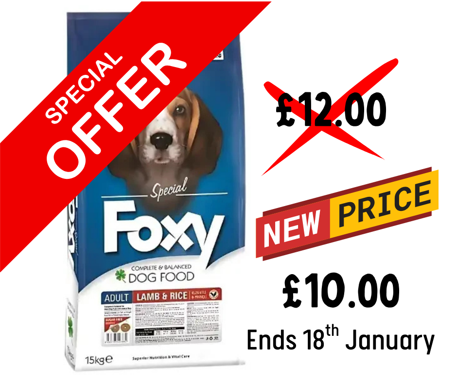 Foxy Lamb and Rice Adult Dog Food