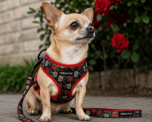 Skull & Roses Dog Harness XXS