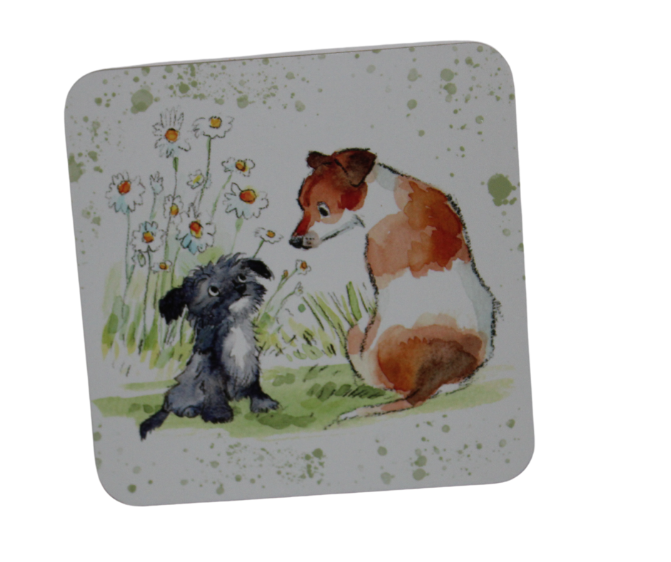 Paper Shed Set Of Six Quality Dog Themed Coasters
