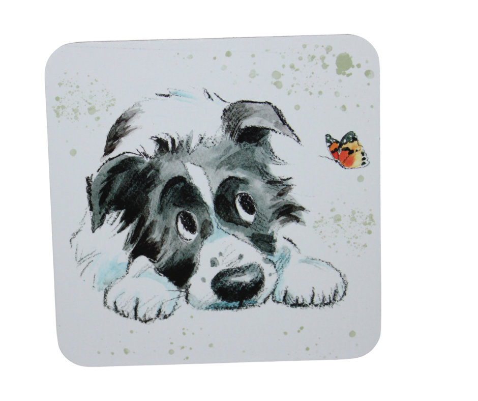 Paper Shed Set Of Six Quality Dog Themed Coasters