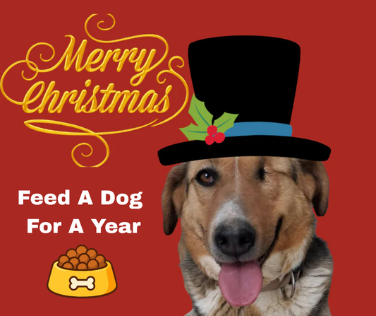 Feed a Hungry Dog for One Year – A Year of Full Bowls and Hope