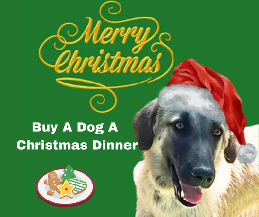 Doggy Christmas Dinner – A Gift of Love and Full Bellies