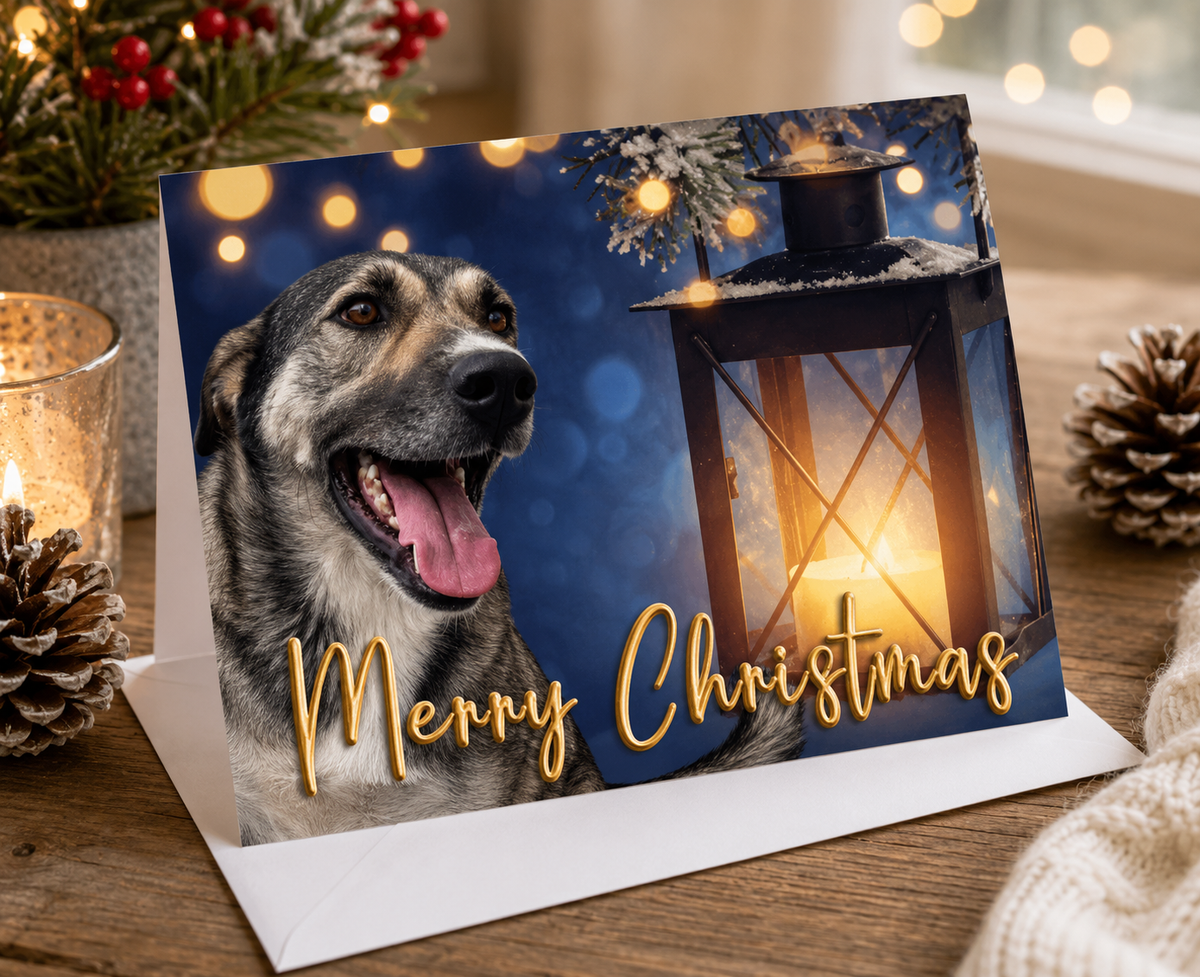 Dog Desk Noah Deluxe Christmas Card