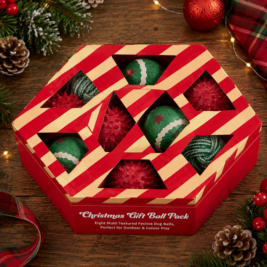 Rosewood Christmas Ball Gift Pack for Dogs