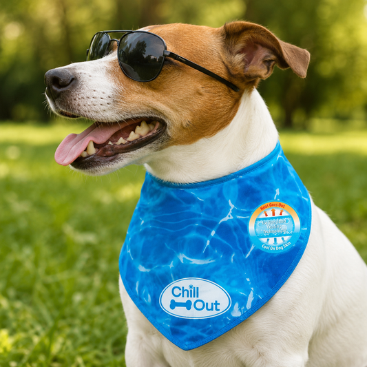 All For Paws Chill Out Ice Cooling Dog Bandana