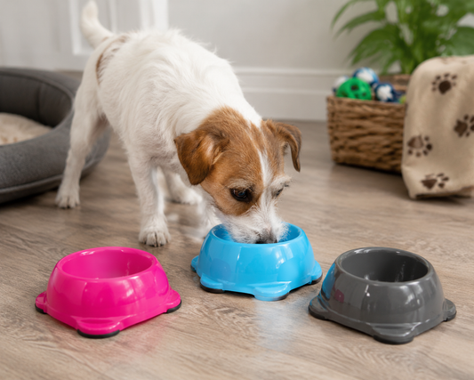 Animal Instincts Plastic Dog Bowl 300ml