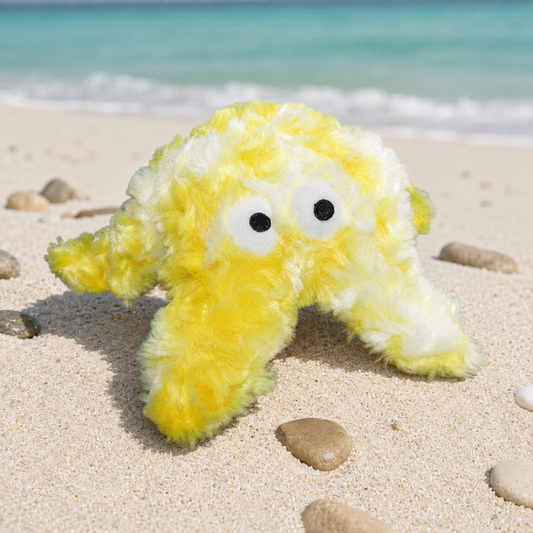 Green Baby Reef Starfish Dog Toy