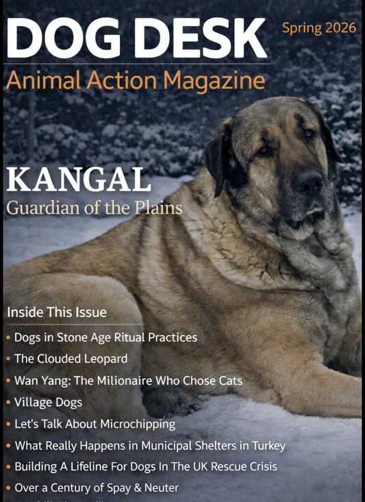 Dog Desk Animal Action Magazine | Spring 2026