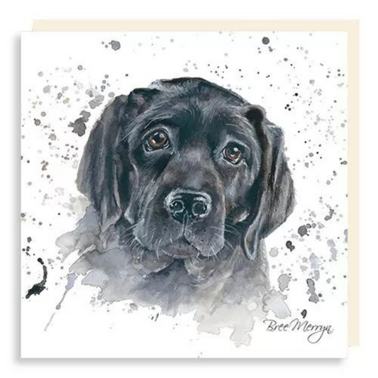Bree Merryn, Fine Art Black Labrador Small Card To Post