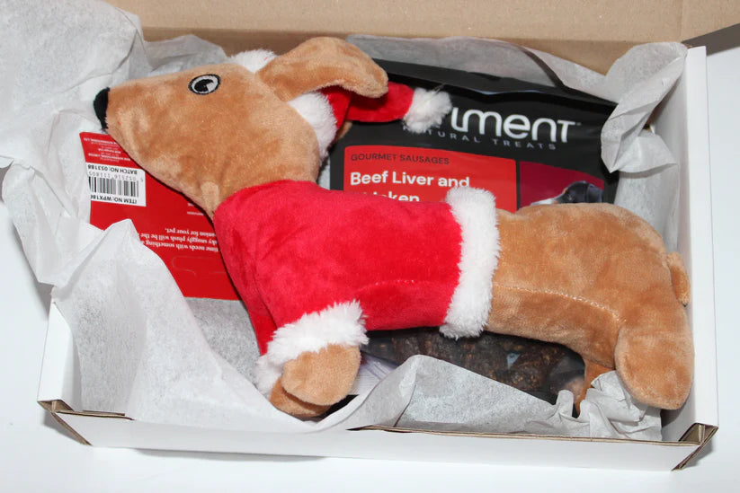 Dachshund Christmas Dog Toy & Treat Combo