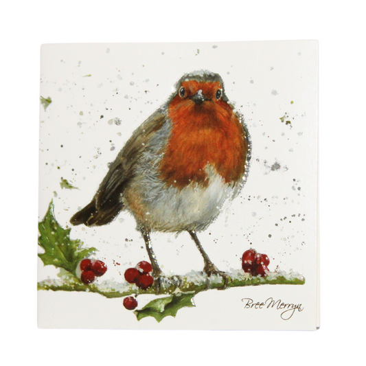 Bree Merryn, Fine Art Robin  Small Card To Post
