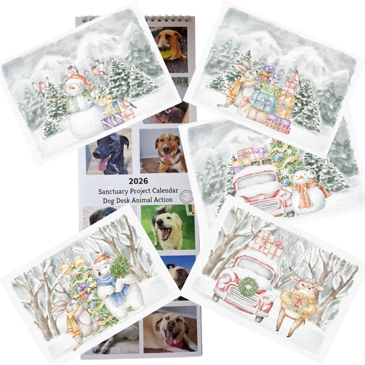 Calendar & Christmas Deluxe Cards Bundle 3