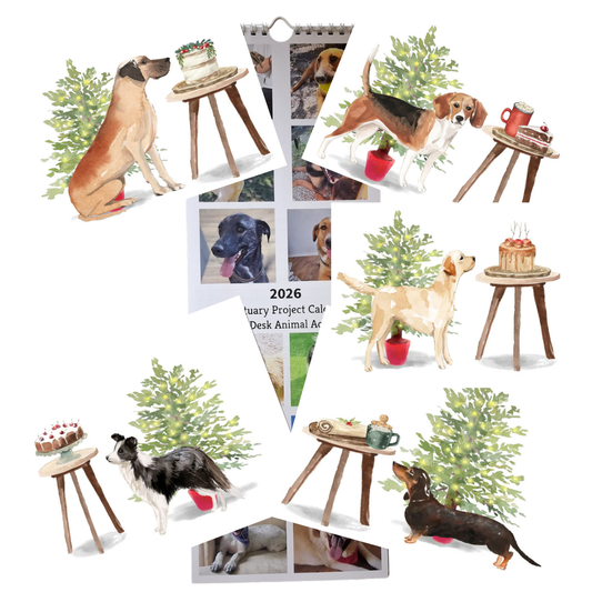 Calendar & Deluxe Christmas Cards Bundle 4