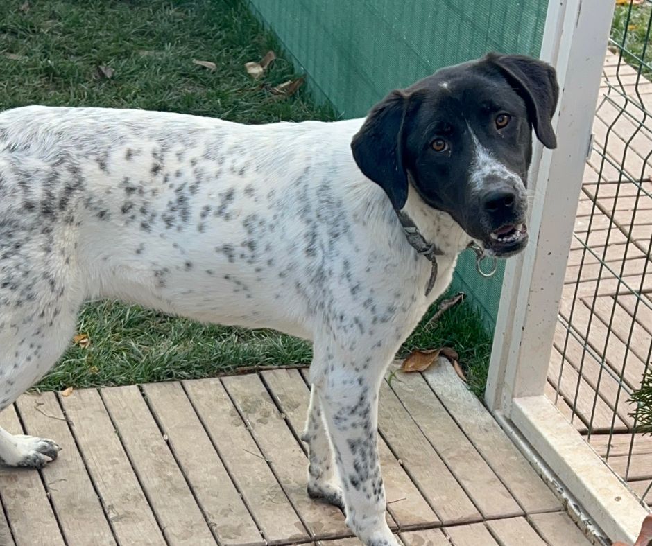 Grace Sponsorship Gift