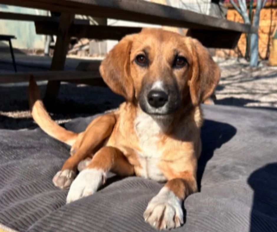 Sally Sponsorship Gift