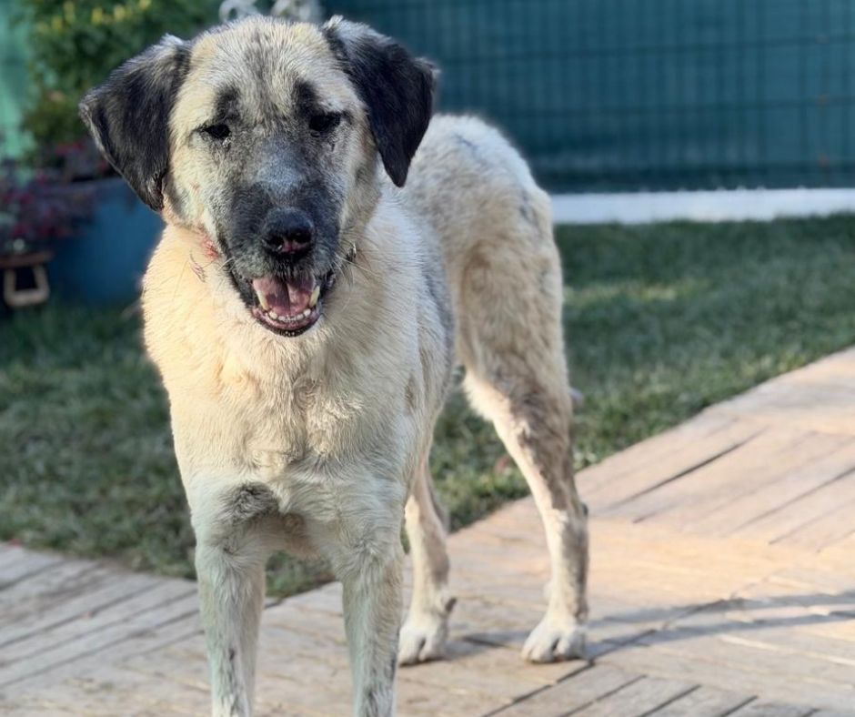 Jess Sponsorship Gift