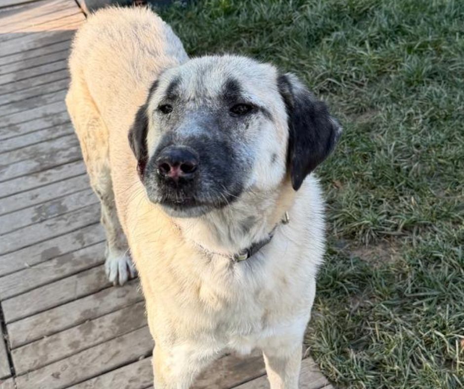 Jess Sponsorship Gift