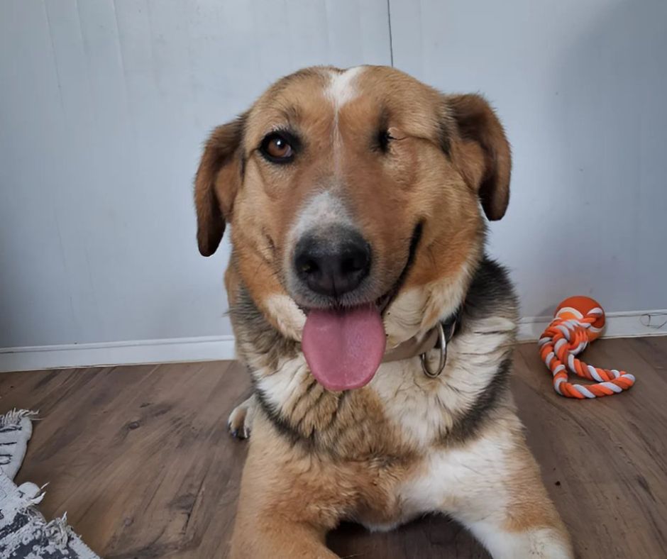 Ruzgar Sponsorship Gift