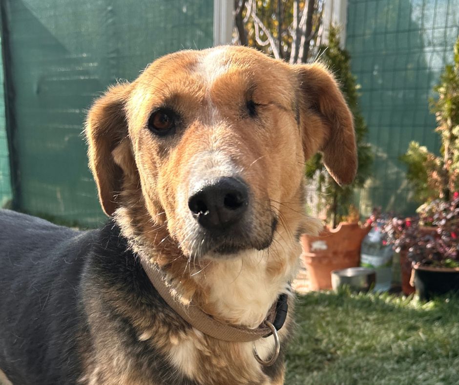 Ruzgar Sponsorship Gift