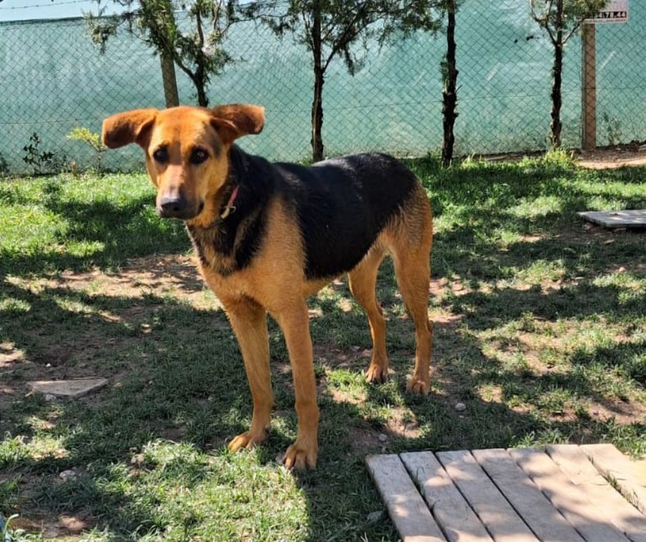 Zeliha Sponsorship Gift