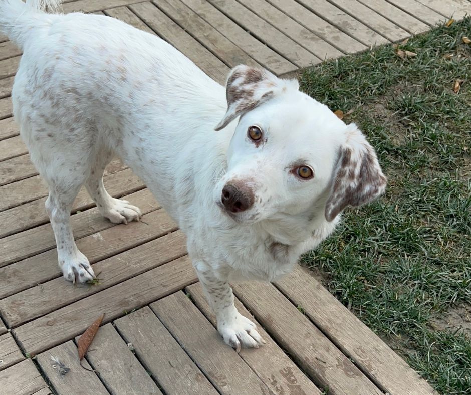 Princess Sponsorship Gift