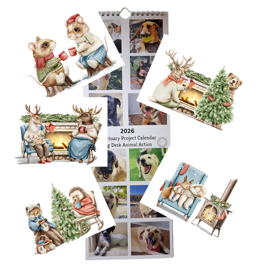Calendar & Deluxe Christmas Cards Bundle
