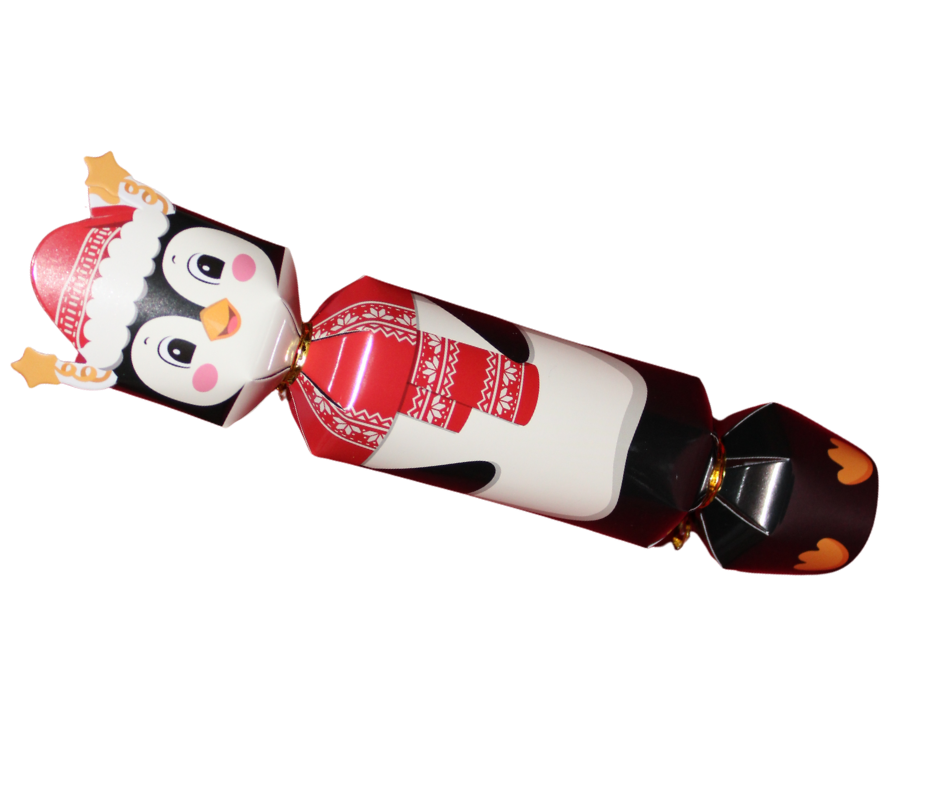 Dog Christmas Crackers – 3 Sausage Dog Treats (No Snaps) Penguin