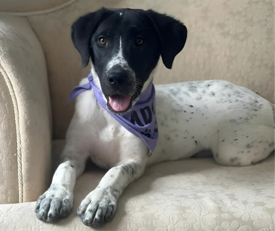 Grace Sponsorship Gift