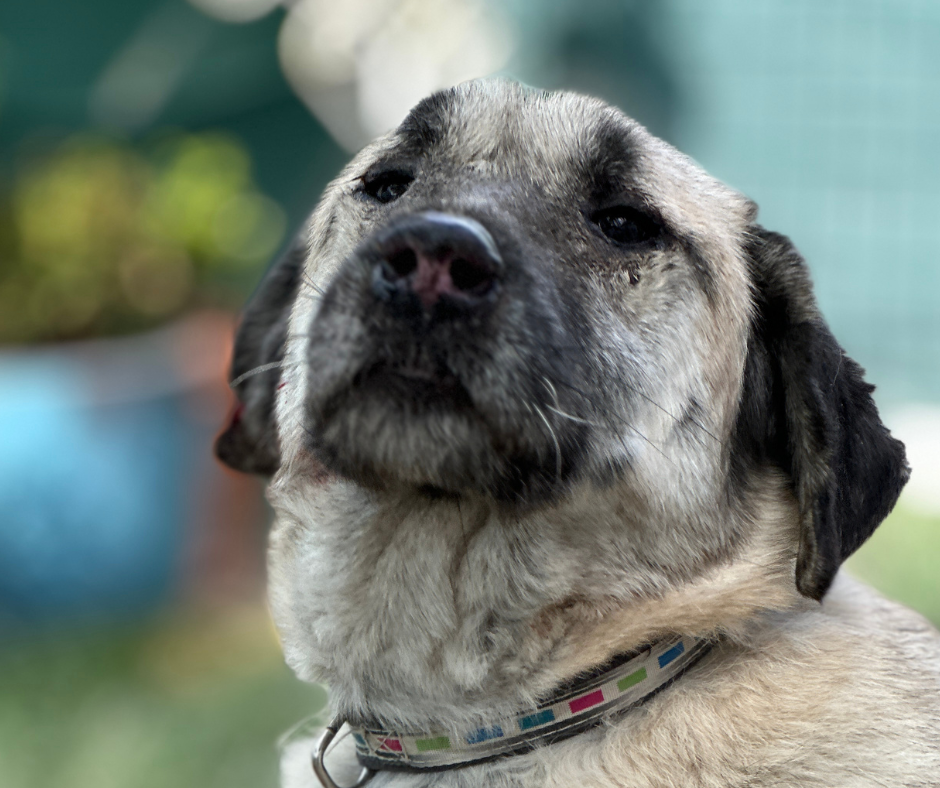 Jess Sponsorship Gift