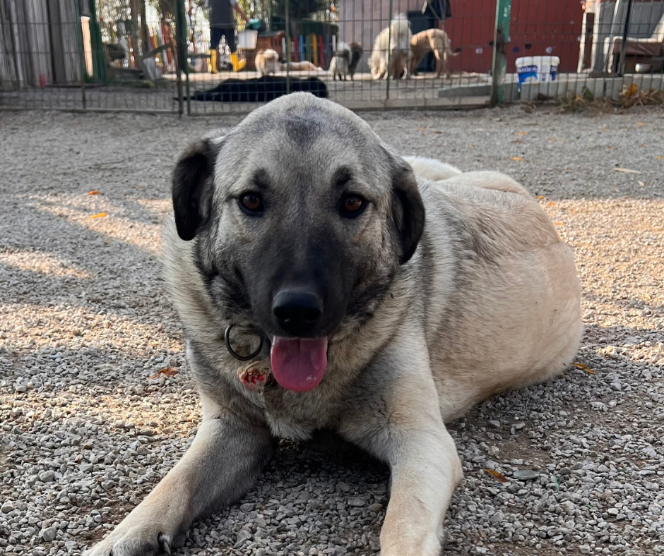 Sean Sponsorship Gift