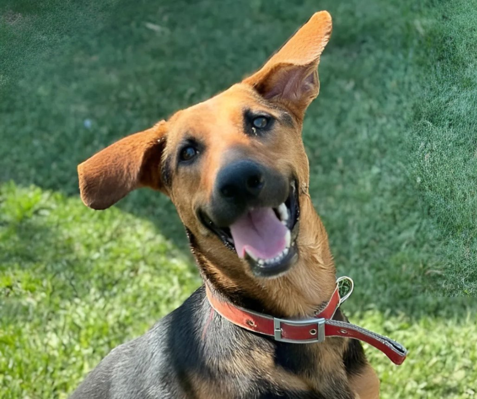 Zeliha Sponsorship Gift