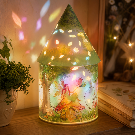 LED Colour Changing Fairy House