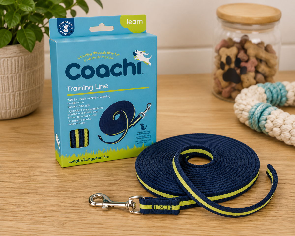 CoA Coachi Dog Training Line Navy & Lime