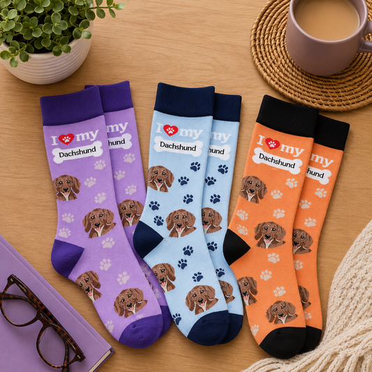 Sock Society Dachshund Dog Pattern Socks