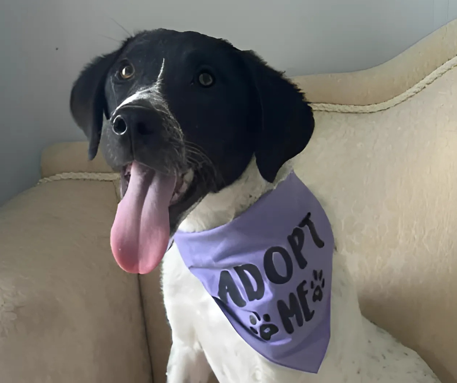 Grace Sponsorship Gift