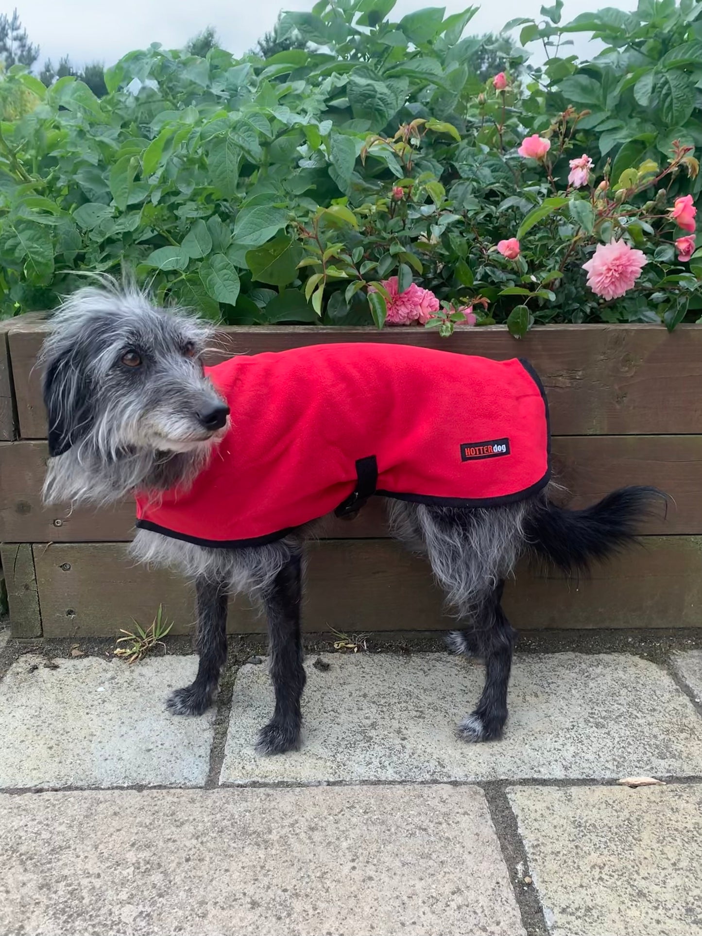 Hotterdog Dog Coat Water-repellent, Warm and Washable Fleece