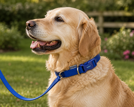 Ancol Heritage Nylon Dog Collar Blue