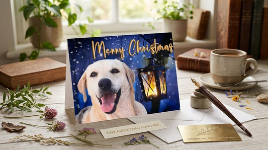 Dog Desk Barbra Streisand Deluxe Christmas Card