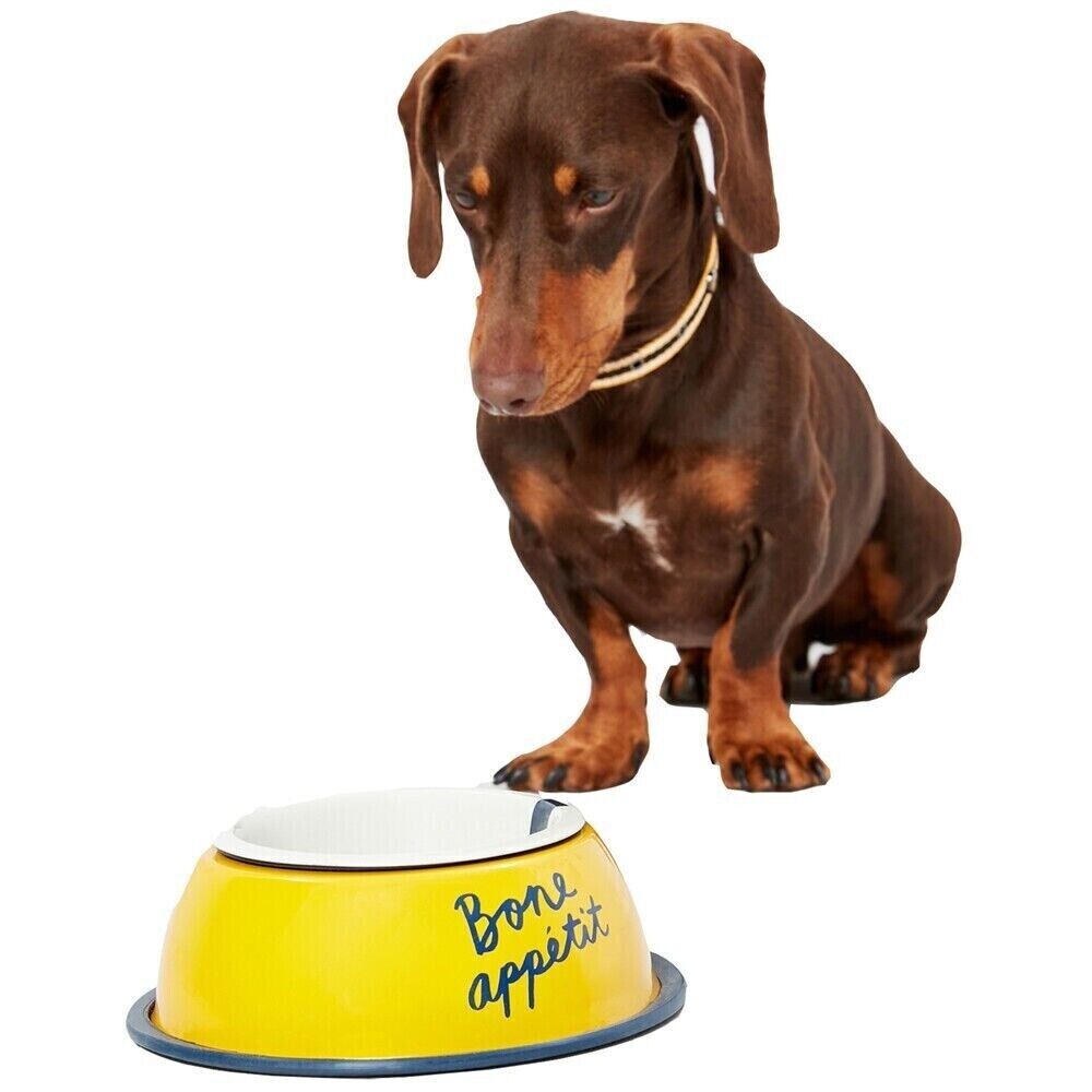 Joules Dog Bone Appetit Non Slip Stainless Steel Dog Bowl
