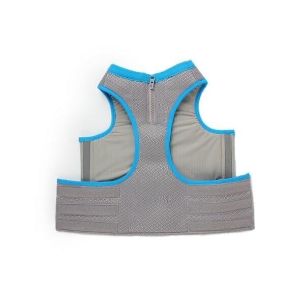 All For Paws Chill Out Cooling Summer Dog Vest